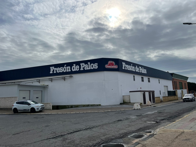 CORPOREOS FRESON DE PALOS