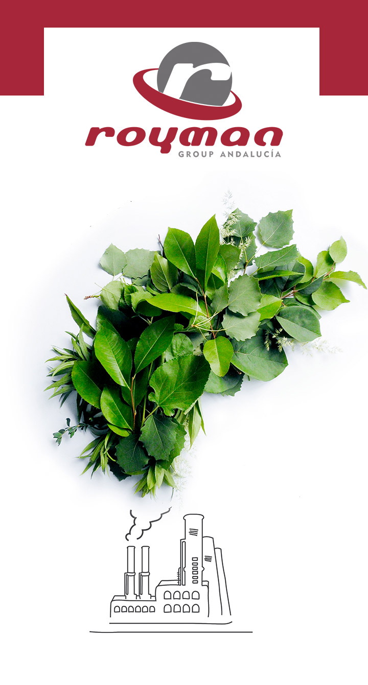 innovación y sostenibilidad